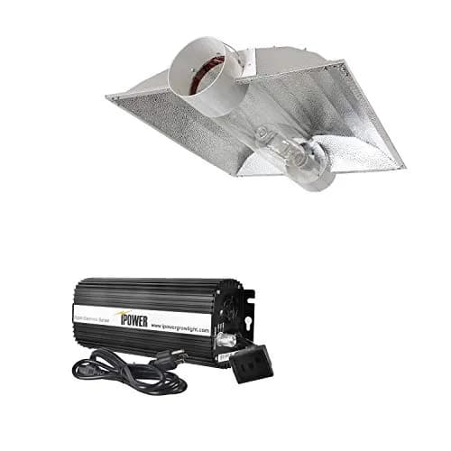 Set Light 1000W